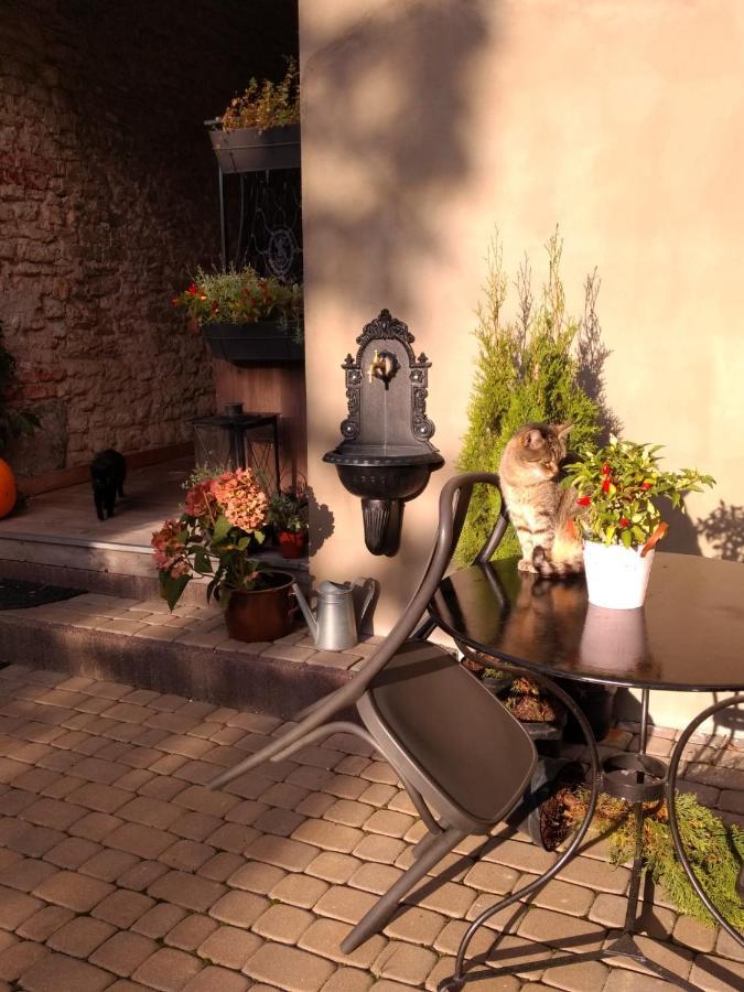 Babie Lato B&B Униейов Екстериор снимка